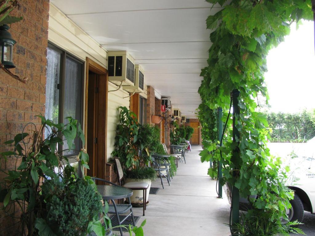 The Wayfarer Motel Muswellbrook Ngoại thất bức ảnh