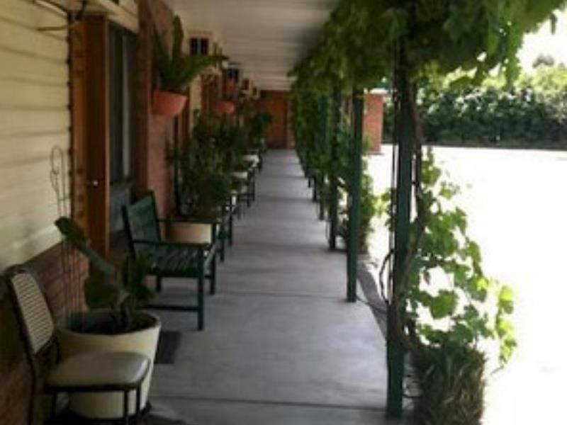The Wayfarer Motel Muswellbrook Ngoại thất bức ảnh